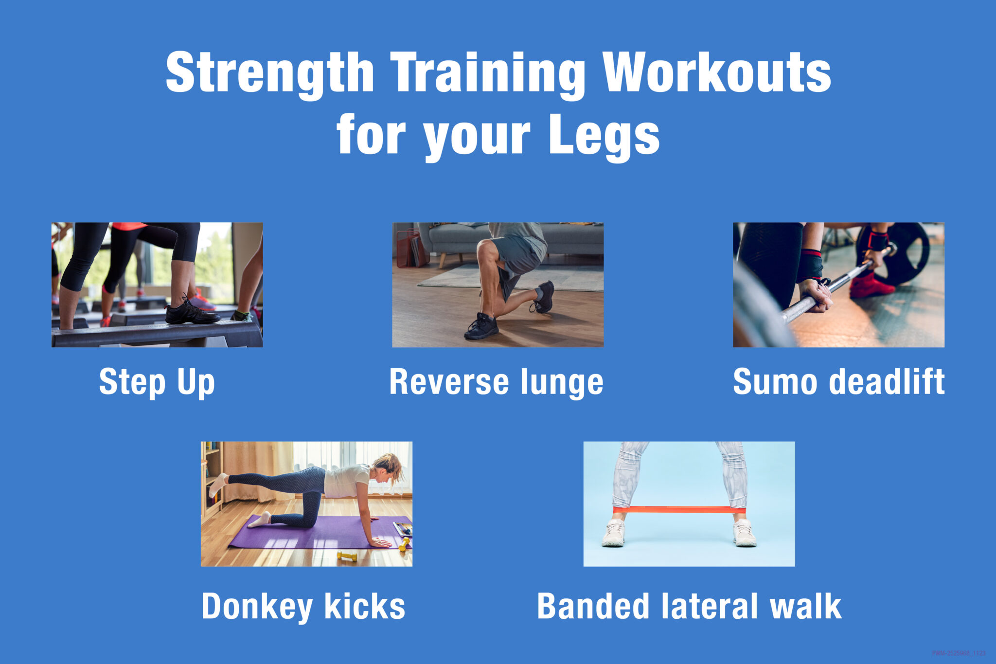Strength Training Workouts for your Legs